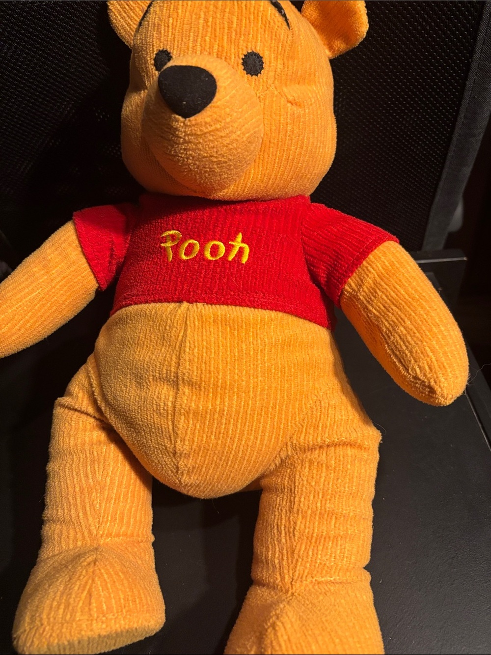 The Disney Store Winnie the Pooh Bear